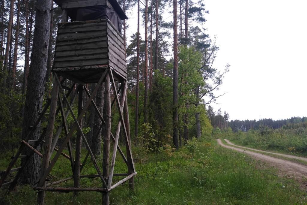 Dom Wakacyjny - Zakatek Marzenie Orzyny Esterno foto